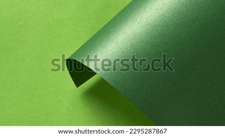 curved sheet of dark green paper on light green paper background.abstract green background for design.empty frame.green blank surface.paper sheet roll.