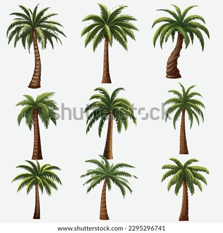 Vector Illustration Set Showcasing Various Variants of Palm Trees, Isolated on a White Background