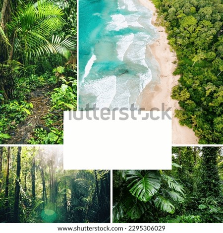 Tropical Rainforest Collage. Set of Pictures from Amazon Exotic Forest and Caribbeans.