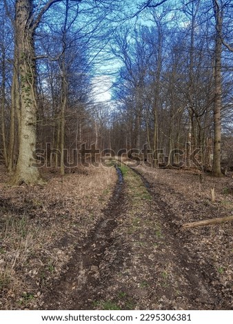 photo shoots of nature in northern Germany in spring 