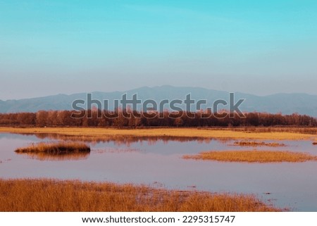 A Serene Lake with Reflections and Mountain Backdrop, Perfect for Copy Space