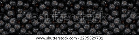 Seamless long banner, Background with ripe berries of Aronia Melanocarpa (Black Chokeberry). High resolution. Full depth of field.
 Royalty-Free Stock Photo #2295329731