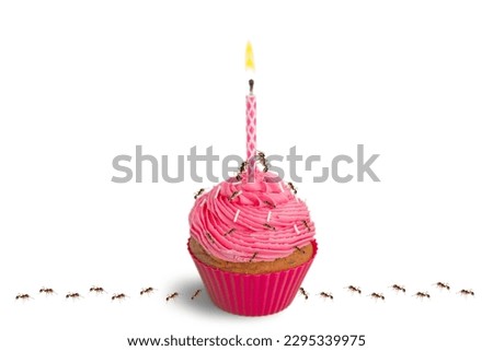 An image of a colorful cupcake with red ants on and walking on the cake and around it on a white background. Suitable for use in food media and advertising media.