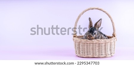 Easter little bunny rabbit sitting in the basket isolated on pink background