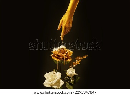 Fantasy art photo closeup female hand covered with gold paint skin touches white rose liquid gold dripping on petals. Goddess woman strokes flower with finger. Hand of Midas touch gilded. Black studio Royalty-Free Stock Photo #2295347847