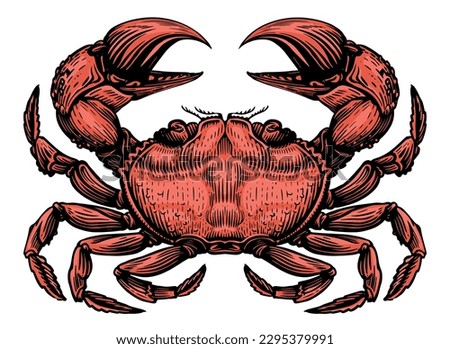 Red crab isolated on white background. Sea animal, seafood vector illustration