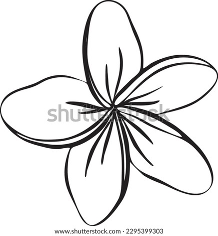 Frangipani and plumeria tropical flower. Hand drawn line art frangipani isolated in white background. Outline vector illustration.Tropical decorative exotic flowers, blooming Royalty-Free Stock Photo #2295399303