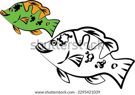black and white fish coloring page, orange and green peacock bass fish illustration