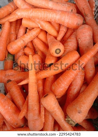 pile of fresh carrots ready for sale