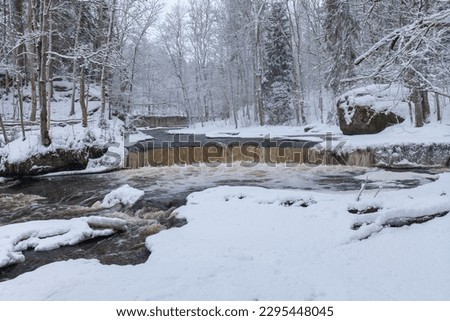 Snowy scene by the Nommeveski waterfall (cascade) on the river Valgejogi in Lahemaa National Park, Estonia in wintertime. Amber water comes from marshland.