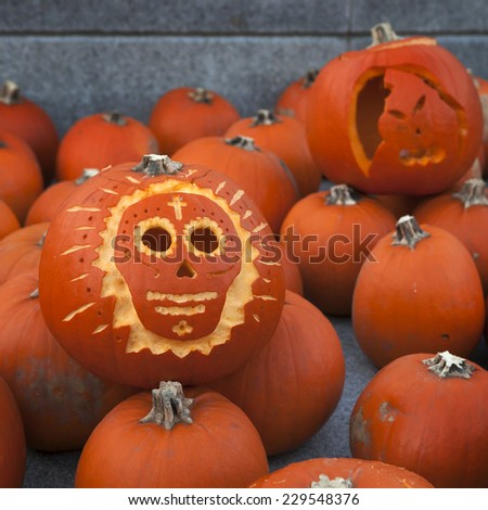 pumpkin of the Halloween Pumpkin