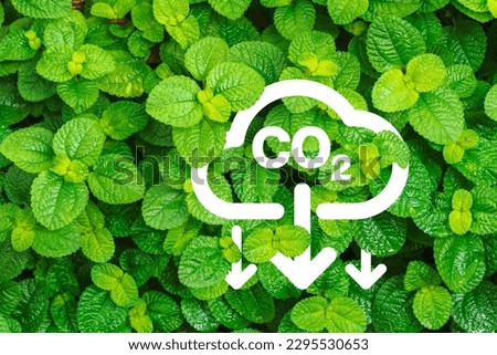 Co2 carbon dioxide sign and arrows down on green leaf background. Co2 reduction concept. Save the planet concept.    Royalty-Free Stock Photo #2295530653