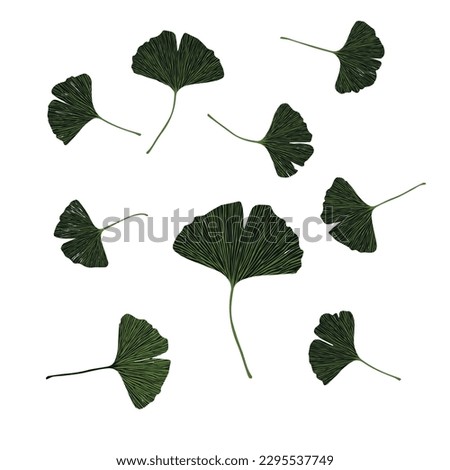 Set of ginkgo leaves. Vector illustration.
