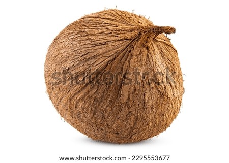 Coconut. Fresh not cracked whole coconut. Nut good for shredded coconut. Palm trees oil for cooking. Do a coconut milk for drinking. Food photography. White isolated background. High resolution photo