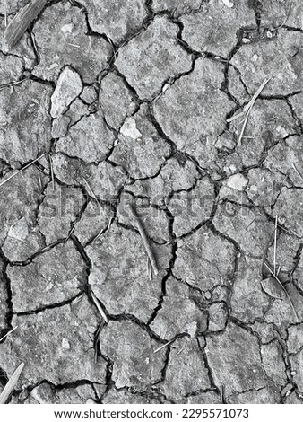 Closeup of Cracked dirt. Arid desert ground in California. Grey color of dry ground. Background and texture of flaky cracks in earth Royalty-Free Stock Photo #2295571073