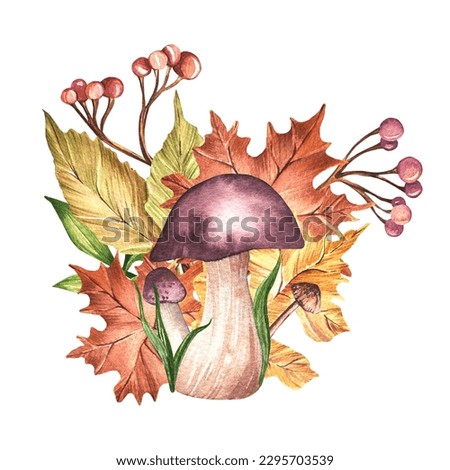 Watercolor composition with autumn leaves, forest mushrooms, twigs and berries isolated on a white background. Autumn, leaf fall, forest.