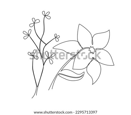 flowers outline flat design, simple flower outline, linear sketch, One line flower, portrait black white artwork outline vector