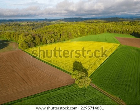 Aerial drone view from above of fields, trees and a forest and farmland in spring time with cloudy sky