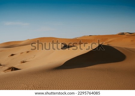 Sahara Desert - Morocco travel Royalty-Free Stock Photo #2295764085