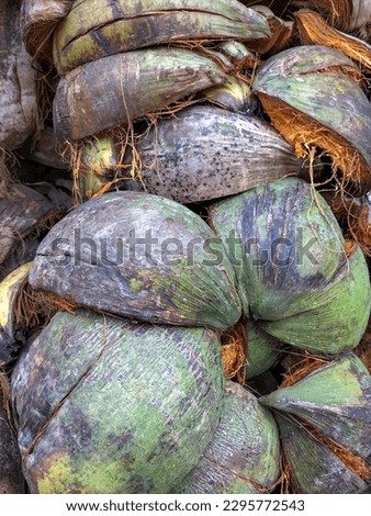 Selective focus. A view of coconut coir pile outdoor. Coconut husks of peeled coconut left as fuel.
