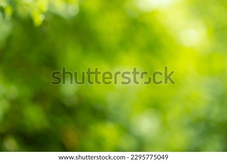 green blurred nature background image