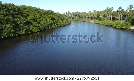 Tatuamunha river in Porto de Pedras Alagoas brazil Royalty-Free Stock Photo #2295792511
