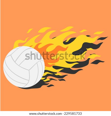 volleyball  ball.vecter