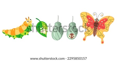 Butterfly caterpillar life cycle insect tree isolated concept. Vector graphic design illustration