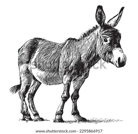 Donkey cute hand drawn sketch illustration Domestic animals Royalty-Free Stock Photo #2295866917