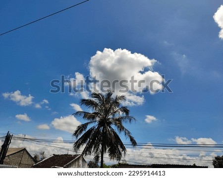 Nature's beauty captured in one shot: the vast blue sky, fluffy white clouds, swaying coconut trees, and the man-made structures of power lines and rooftops creating a contrast in this picture. 