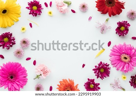 A border of flower blossoms on a white background with copy space in the middle
