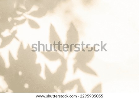 Leaf shadow and light on wall beige background. Nature tropical leaves plant and tree branch shade with sunlight on wall texture for background wallpaper and design, shadow overlay effect
