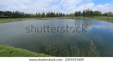 golf course with forest and pond