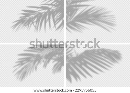 Shadow overlay of palm tree branch. Set of transparent overlay shadow effects from tropical palm leaves. Realistic soft light effect of shadows and natural light on transparent background. Vector.