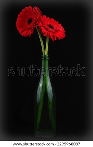A red Gerbera Daisy with a long green leafless stem in a wine bottle vase. Royalty-Free Stock Photo #2295968087