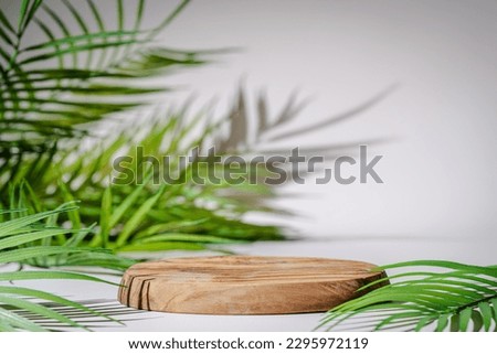 Empty round wooden podium for product presentation palm leaves on beige background. Scene with geometrical forms. Empty showcase for eco cosmetic product presentation