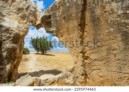 Cyprus attractions. Paphos ruins. Wall of ancient building. Remains medieval settlement. Island of Cyprus. Paphos city on sunny day. Territory of archaeological park. Museum of ancient civilization Royalty-Free Stock Photo #2295974463