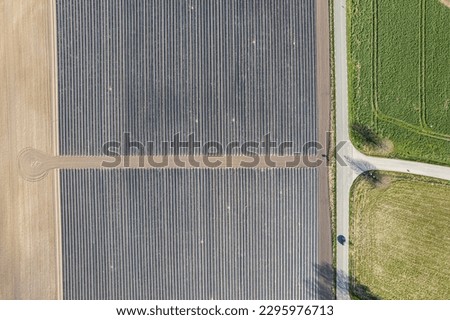 Aerial view on big planted fields on a sunny day. Harvest, crop on the fields. Symbol of agriculture industry. Work on the field. Top view on field textures, plantations.