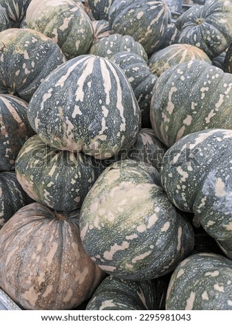 a picture of a pile of pumpkins in a market. no people.