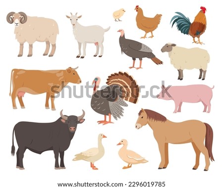 Set of farm animals and birds in different poses. Cow, bull, sheep, pig, horse and goat, hen, rooster, duck, goose, turkey and chickens. Vector flat or cartoon illustration, animal icons. Royalty-Free Stock Photo #2296019785
