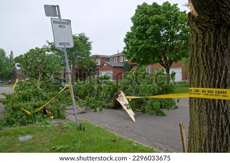Yellow colour police line barrier tape was set up in the area of fallen trees caused by strong winds in a residential district. Royalty-Free Stock Photo #2296033675