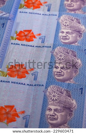 Ornament from Malaysia Ringgit banknotes