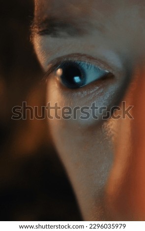 closeup detail of caucasian woman's eye