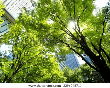 Fresh green Marunouchi Nakadori, Tokyo, Japan Royalty-Free Stock Photo #2296048711