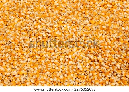 Dried corn peeled. isolated on white background. Royalty-Free Stock Photo #2296052099