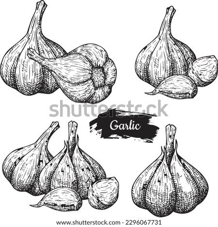 set of hand drawn garlic logo