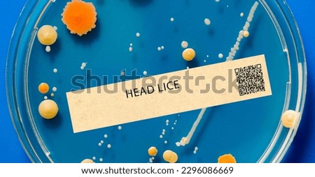 Head lice - Parasitic infection that affects the scalp and causes itching.
