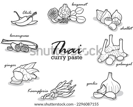 Vector hand drawn lines on a white background about Thai herbs that are condiments in Thai food to present Thai food such as ginger, galangal, lemongrass, kaffir lime leaves, etc. Royalty-Free Stock Photo #2296087155