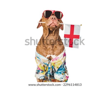 Lovable, pretty dog and Flag of England. Closeup, indoors. Studio photo. Congratulations for family, loved ones, relatives, friends and colleagues. Pet care concept