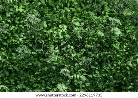 indoor walls decorated with air purification plants Royalty-Free Stock Photo #2296119735